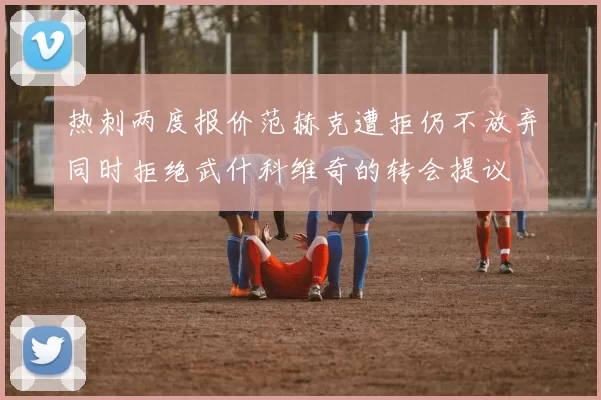 热刺两度报价范赫克遭拒仍不放弃同时拒绝武什科维奇的转会提议