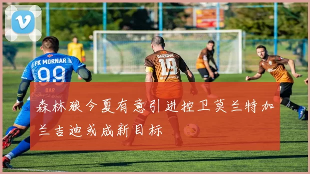 森林狼今夏有意引进控卫莫兰特加兰吉迪或成新目标